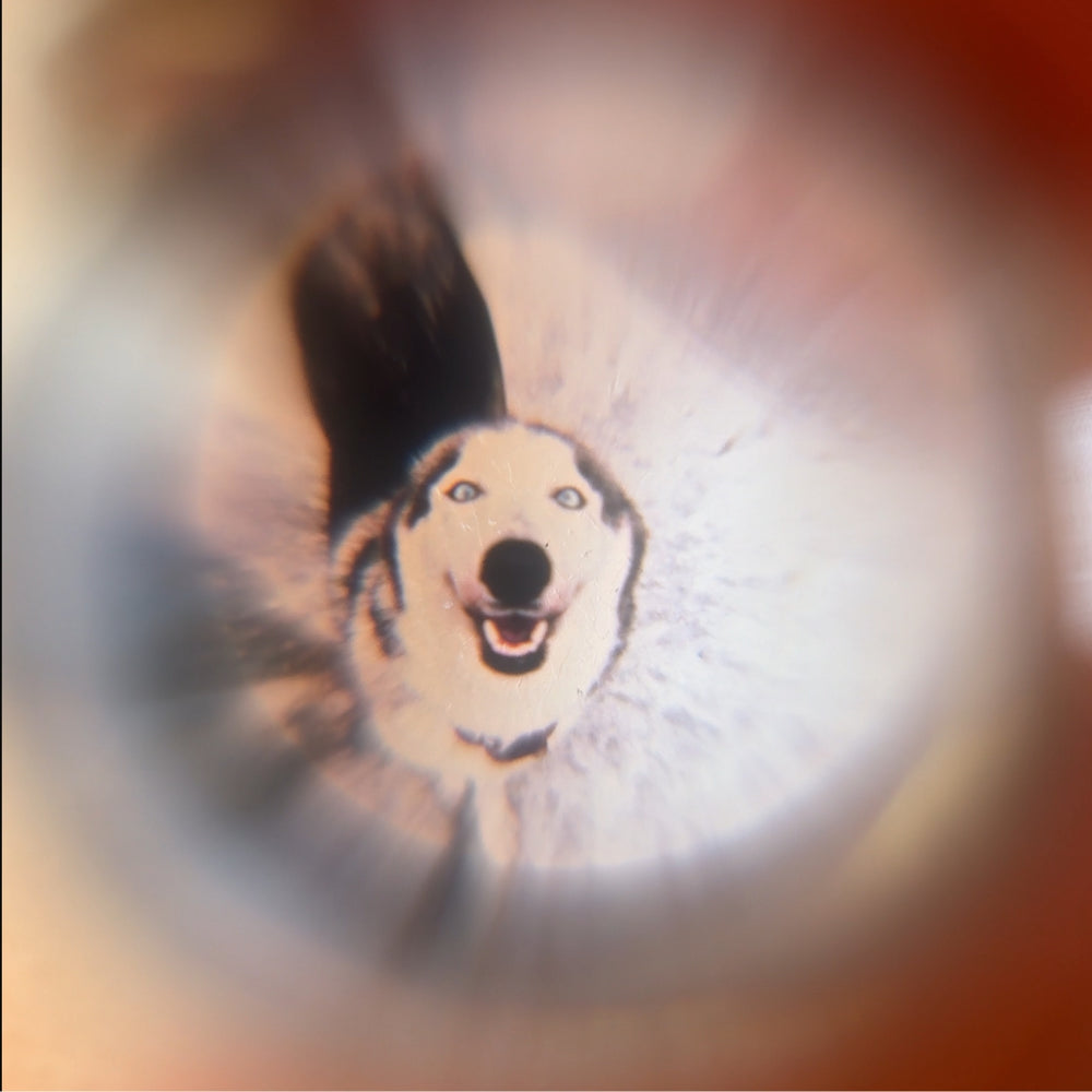 The inside to the projection necklace to show a husky