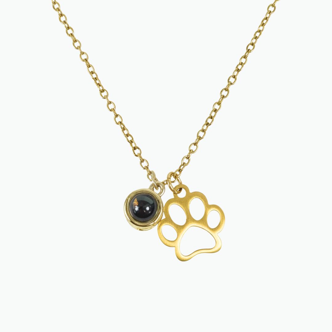 LumiPaw™ Photo Projection Pet Necklace
