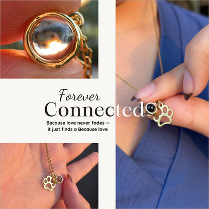 LumiPaw™ Photo Projection Pet Necklace