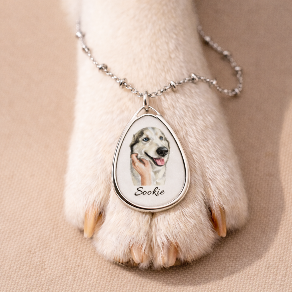 Lumipaw Personalized Pet Oval Necklace